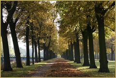 Goldene Allee