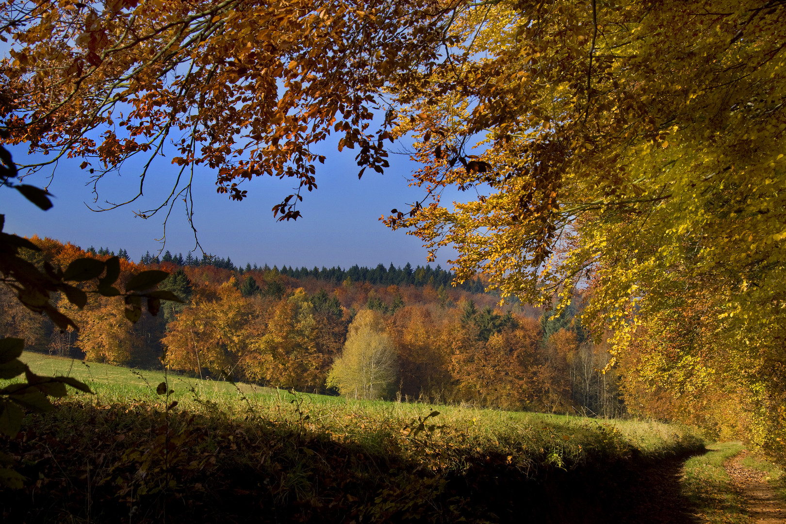 Goldene Aussicht