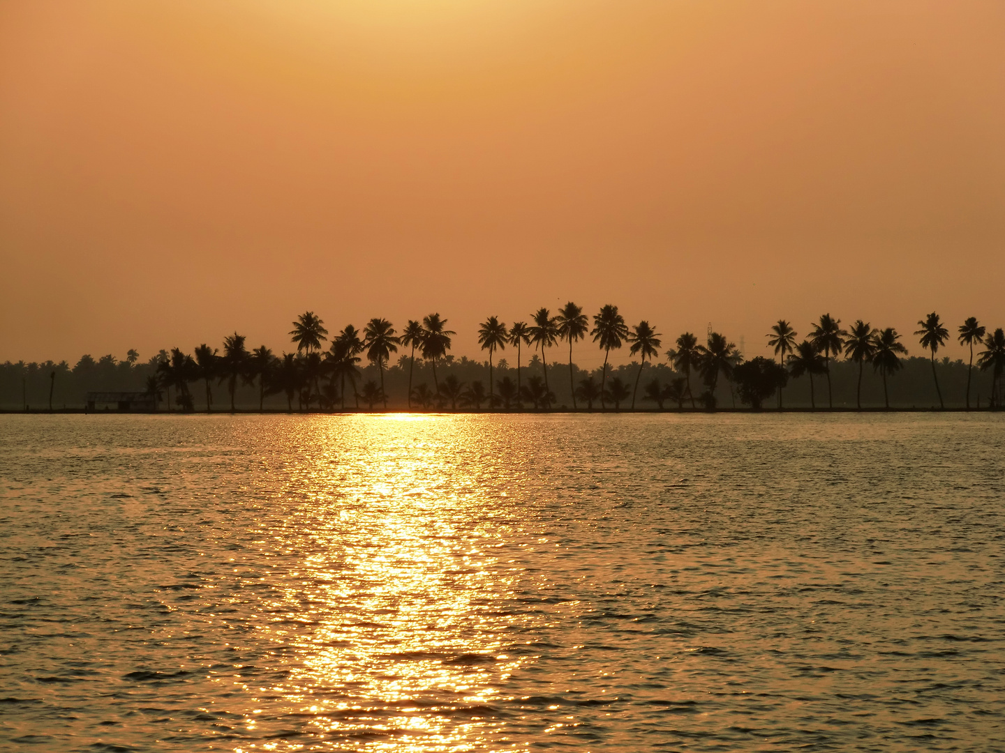 Goldene Backwaters