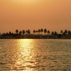 Goldene Backwaters