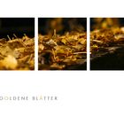 Goldene Blätter