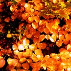goldene Blätter