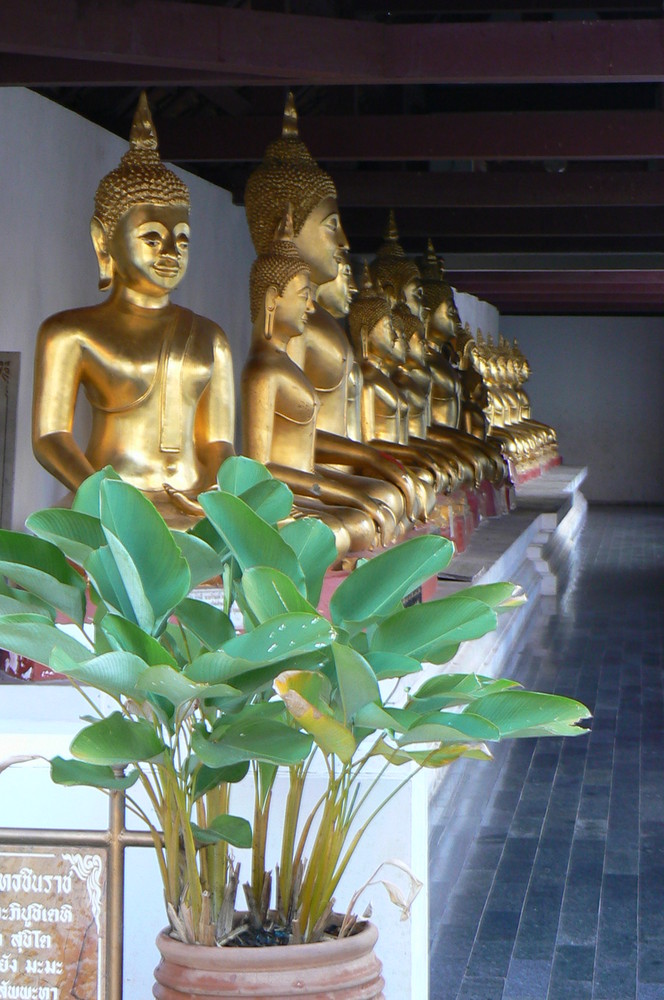 goldene Buddhas