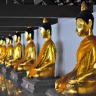 goldene Buddhas