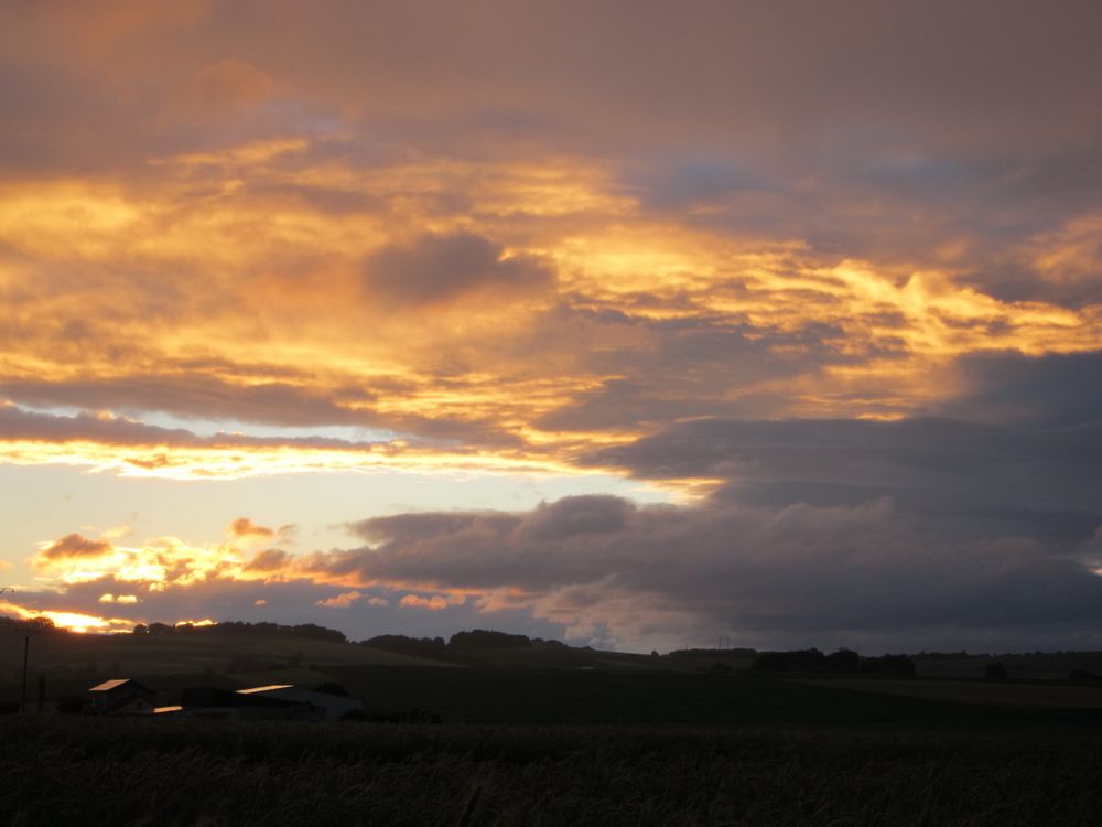 Goldene Dächer im Maifeld