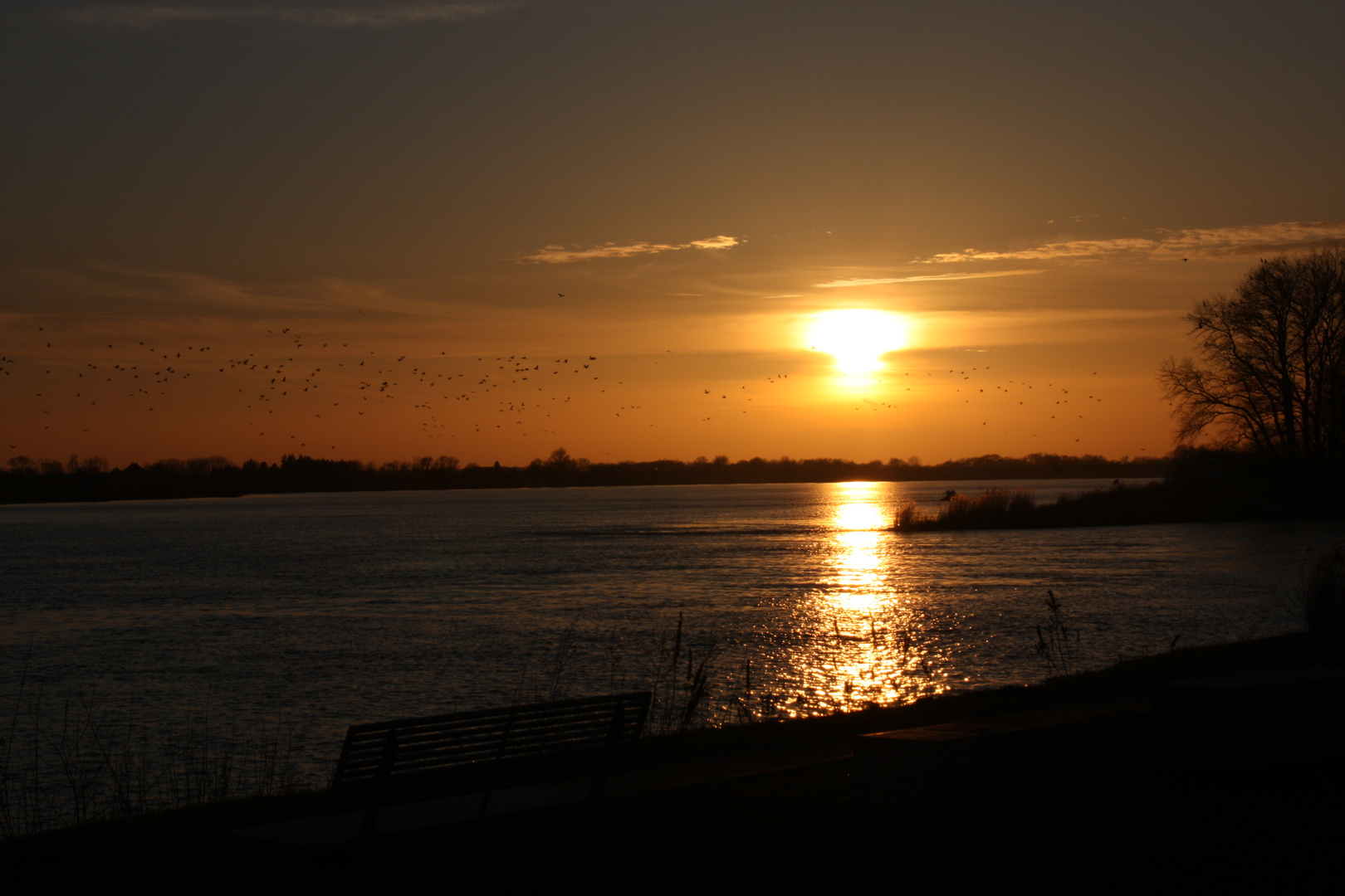 Goldene Elbe