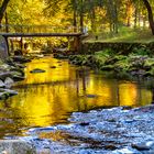 Goldene Enz  in Bad Wildbad 