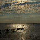 Goldene Erinnerung an den letzten Sommer... (mit Erläuterung der Belichtung und der Bearbeitung) 