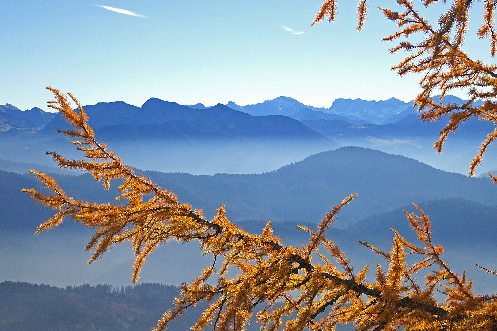 Goldene Fäden zum Blauen Land