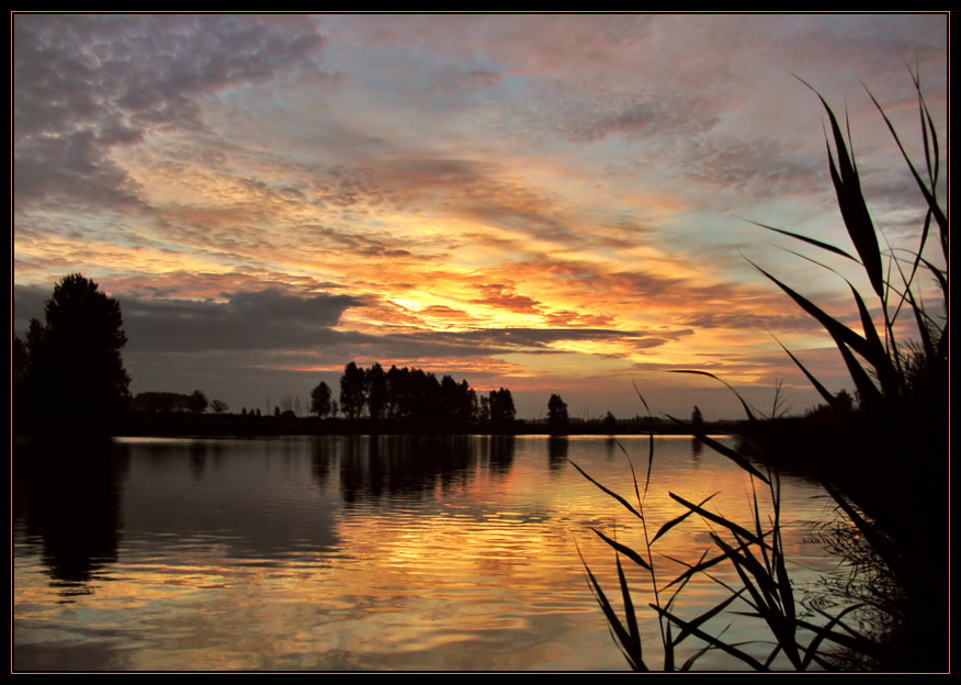 Goldene Farben ...