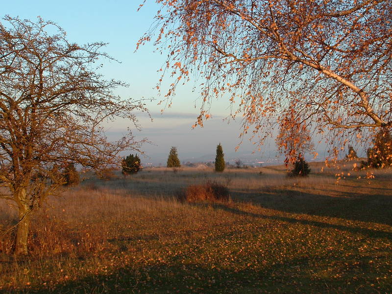 goldene Farben und lange Schatten