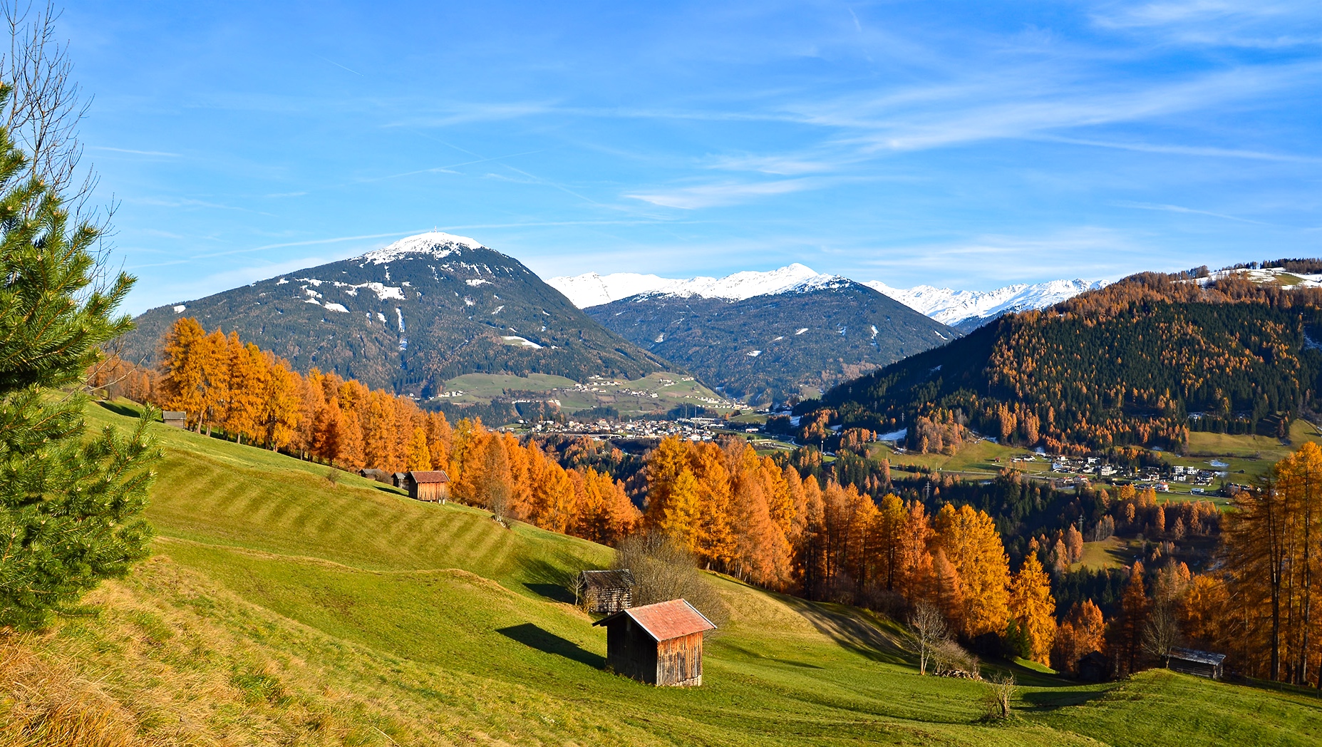 Goldene Farbenpracht 