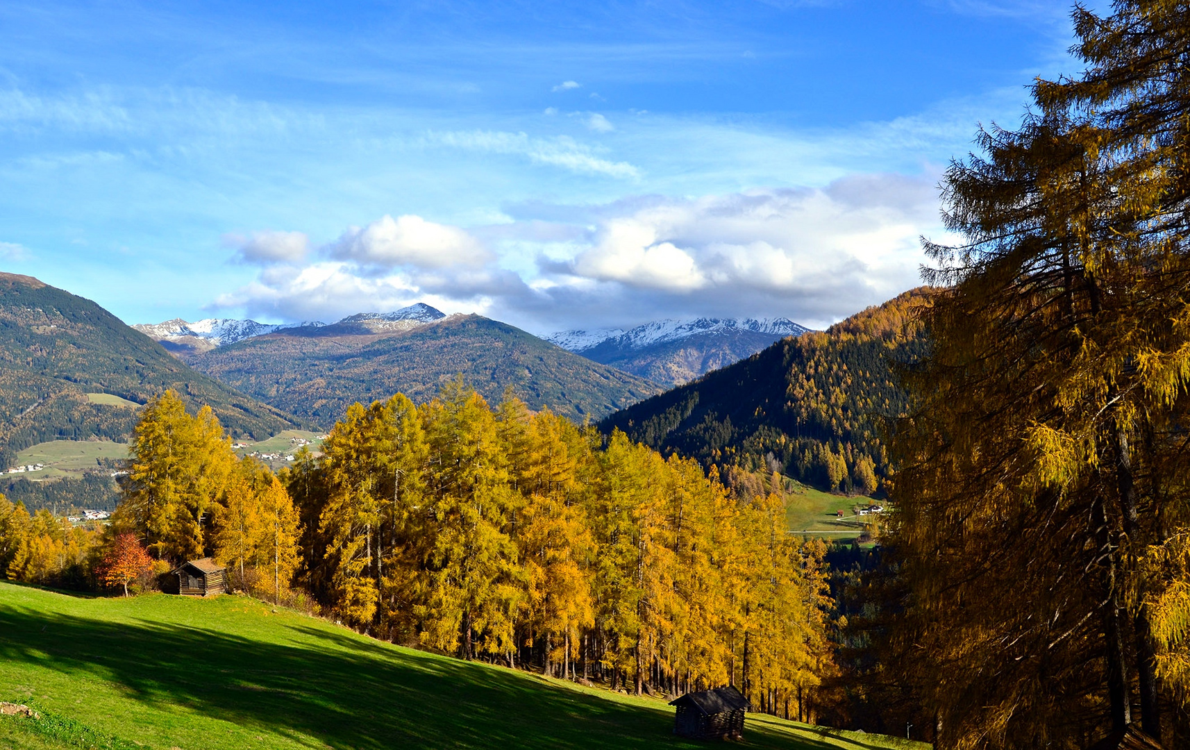 Goldene Farbenpracht