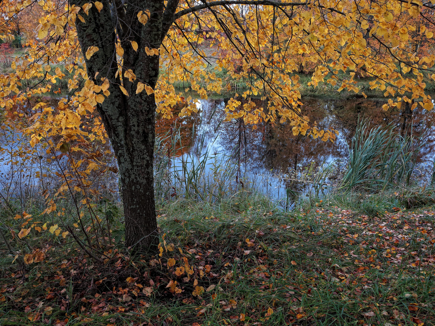 Goldene Herbst 1