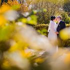 Goldene Herbst-Hochzeit