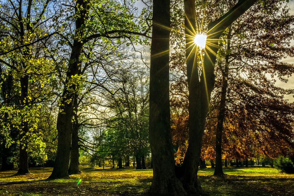 Goldene Herbstsonne tanken