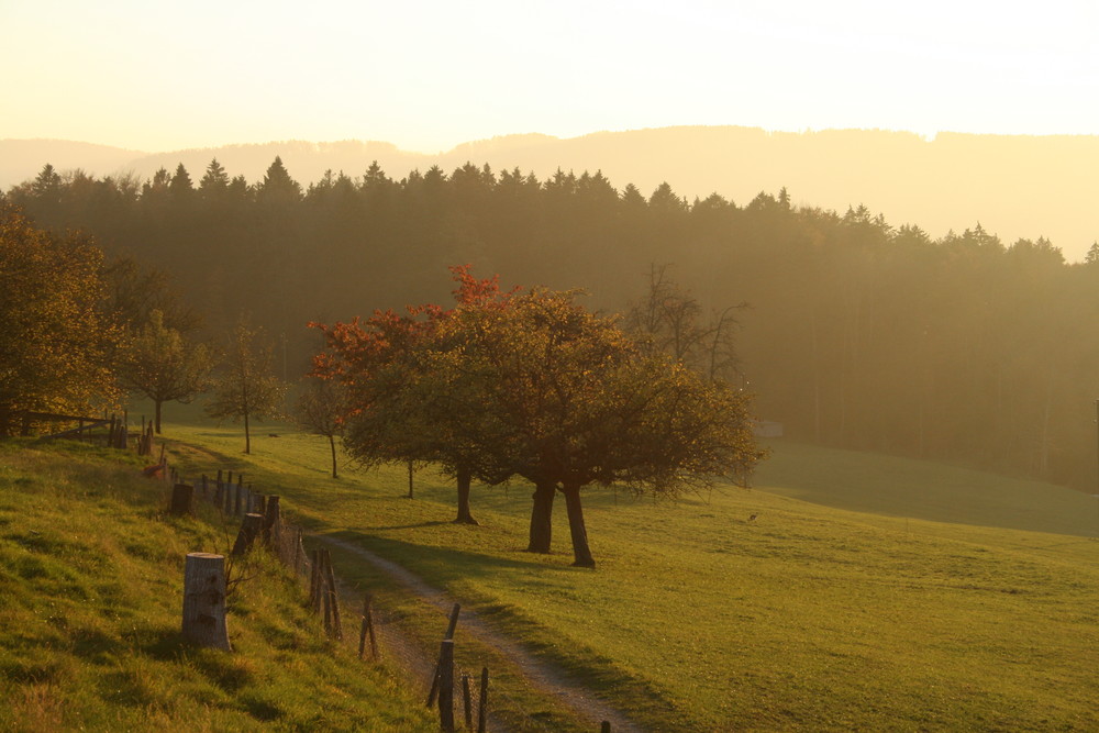 Goldene Herbstzeit