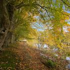 Goldene Herbstzeit