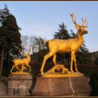 Goldene Hirsche am Eingangsportal, vor dem Schloss Drachenburg.