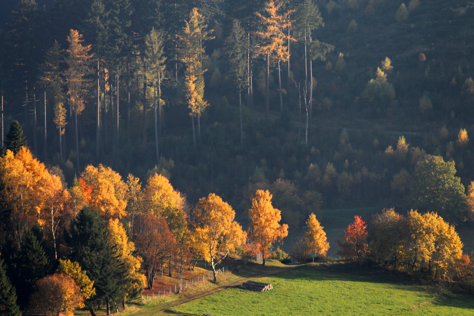 Goldene Jahreszeit - Feudingen im Herbst