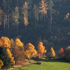 Goldene Jahreszeit - Feudingen im Herbst