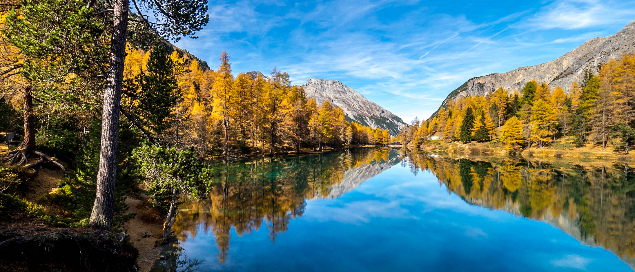 Goldene Lärchen am Palpuegna-See