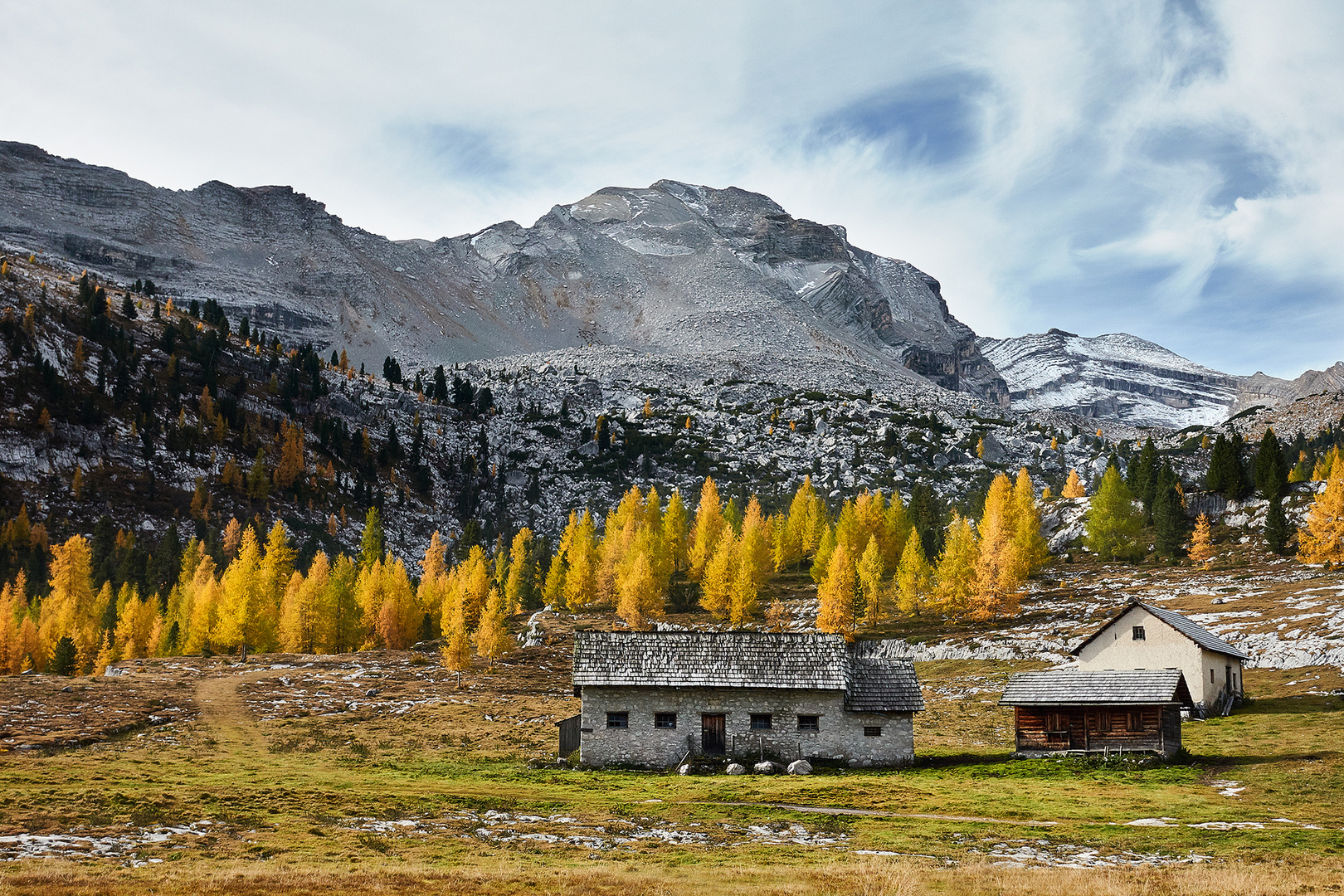 Goldene Lärchen auf der Fanes Alm