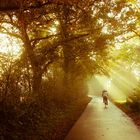 Goldene Landschaft und Fahrrad