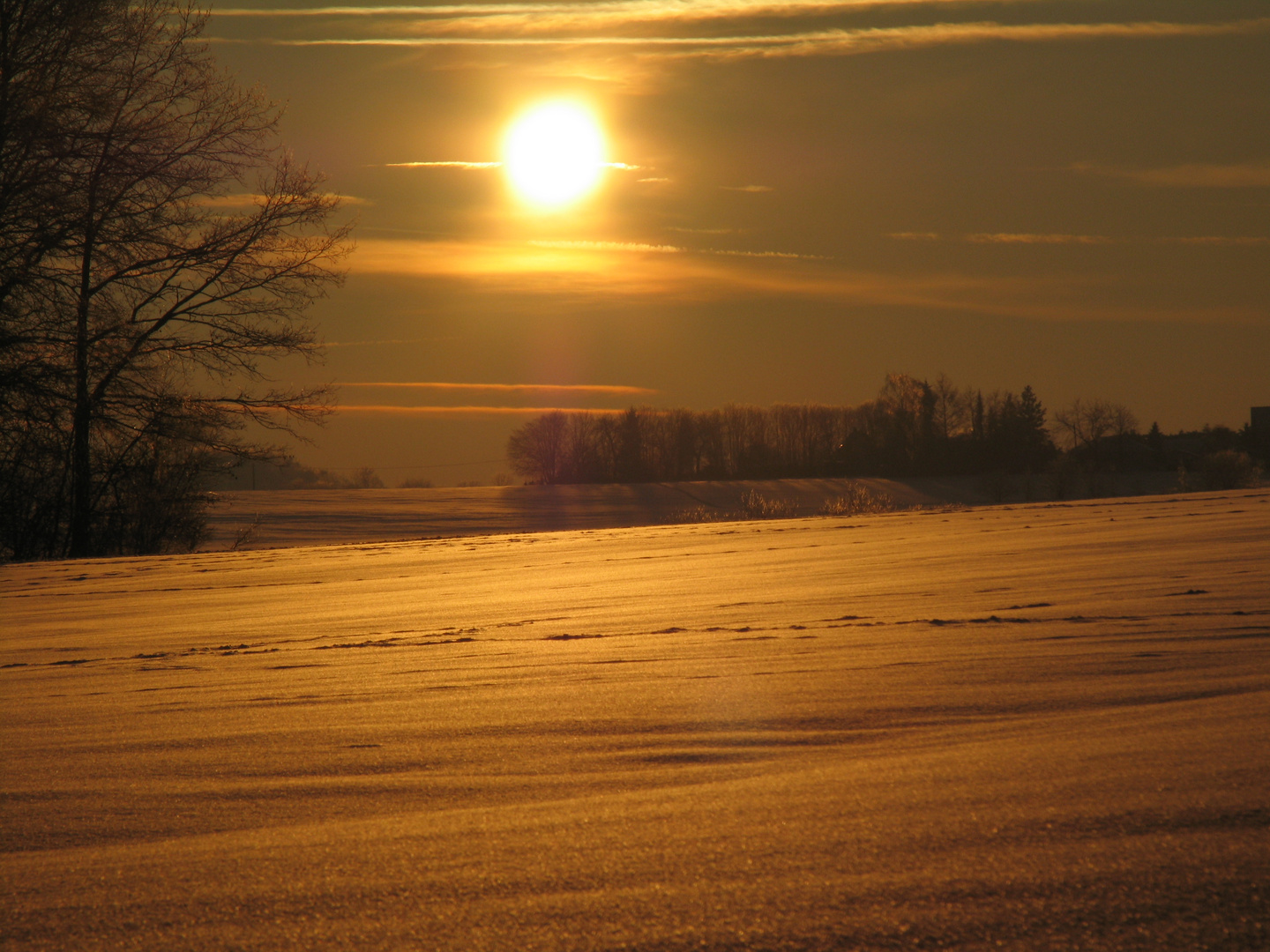 goldene Landschaften