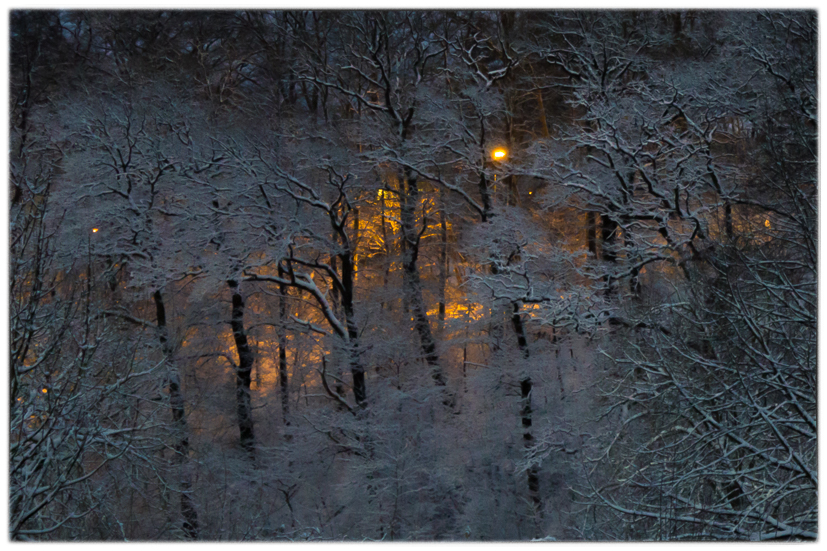 Goldene Lichtlein