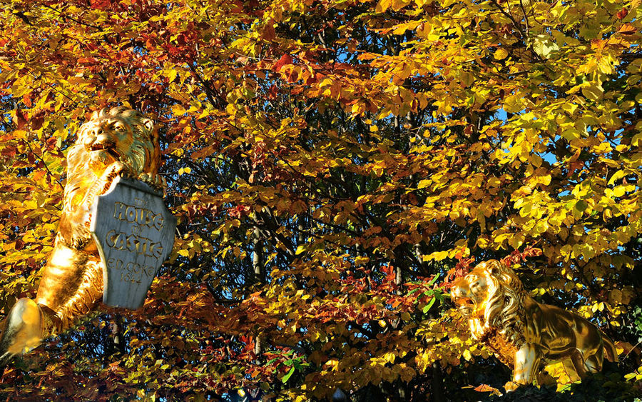 GOLDENE LÖWEN IM GOLDENEN ASTWERK