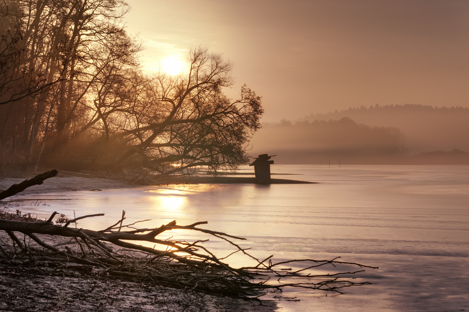 goldene Morgennebelstimmung am See