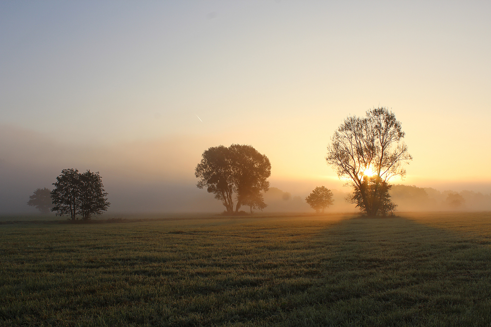 goldene Morgensonne