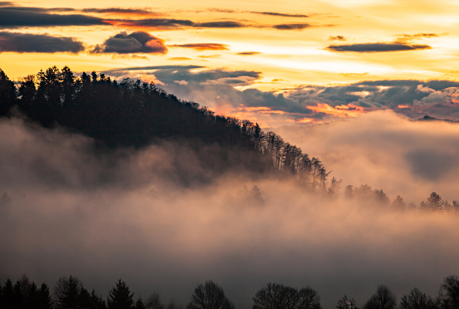 Goldene Morgenstimmung