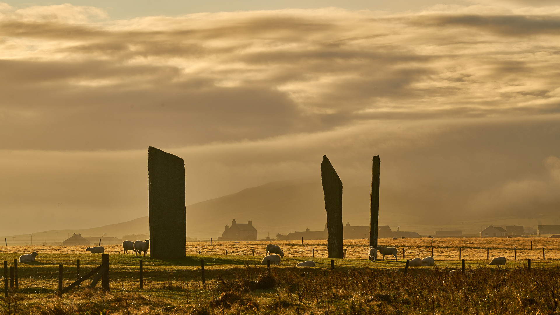 Goldene Morgenstimmung bei den Stones of Stennes