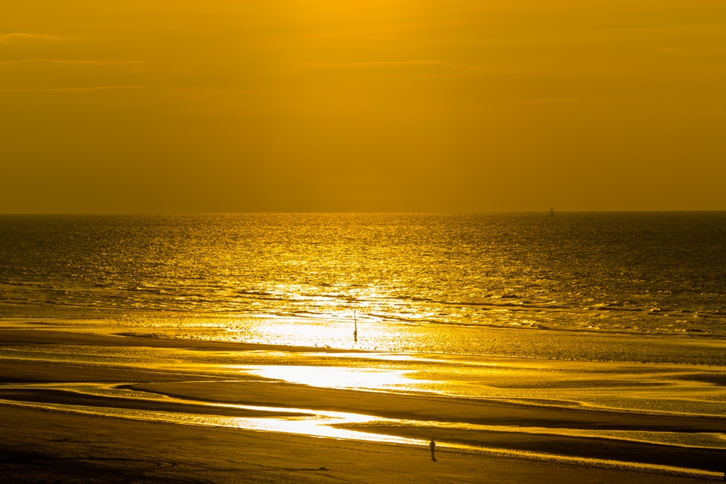 Goldene Nordsee