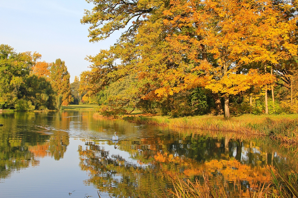 Goldene Oktober