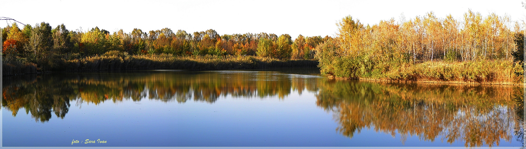 ---Goldene Oktober neben Stadtsee 2----