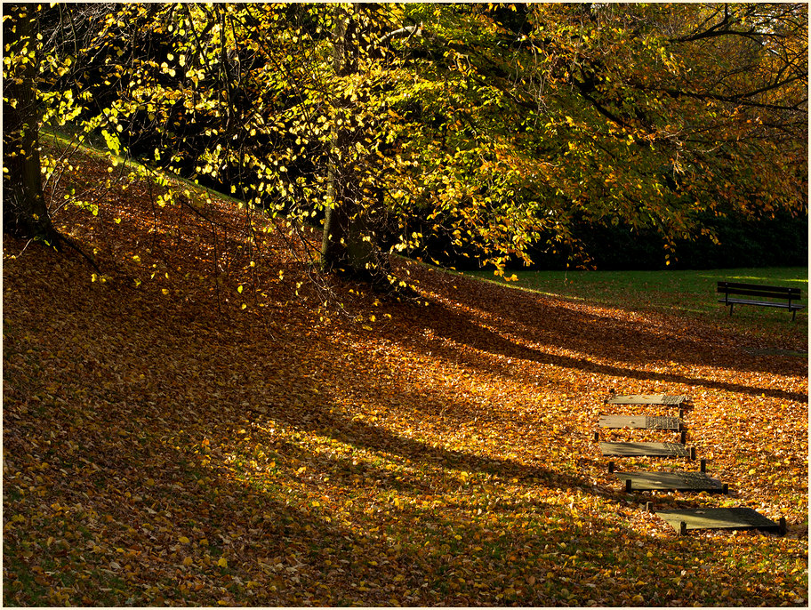 Goldene Oktobersonne