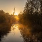 Goldene Reflektionen