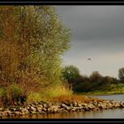 Goldene Ruhe vor dem Sturm