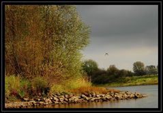 Goldene Ruhe vor dem Sturm