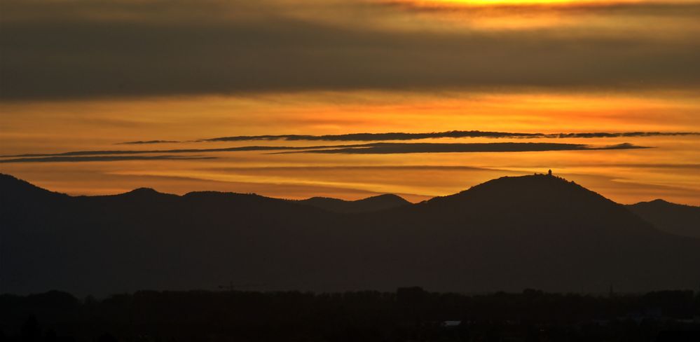 Goldene Silhouetten