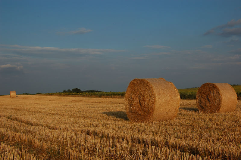 Goldene Sommerstunde