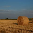 Goldene Sommerstunde