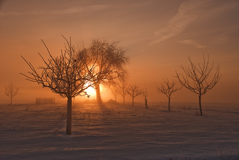 Goldene Sonne