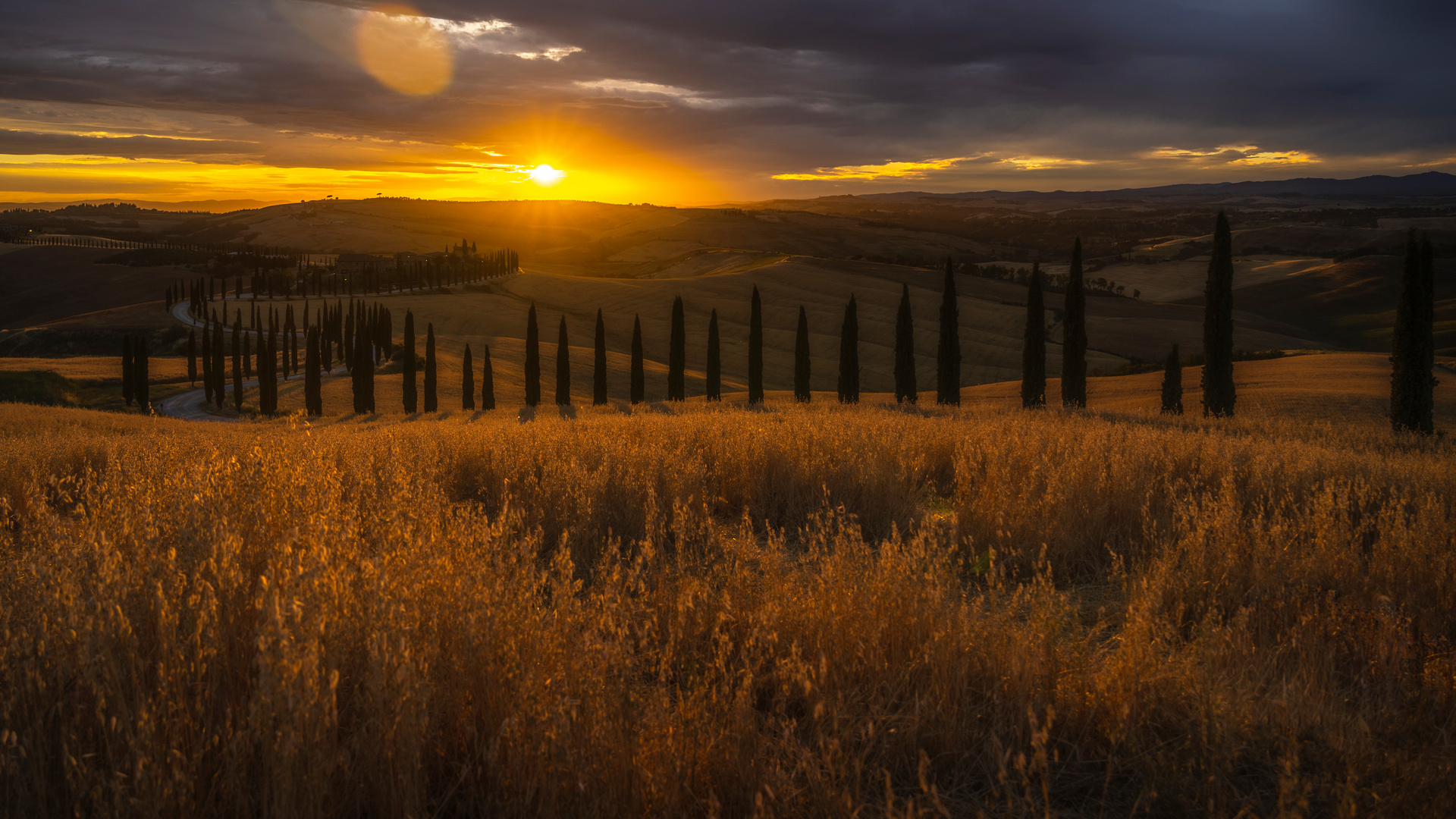 Goldene Sonne der Toskana 