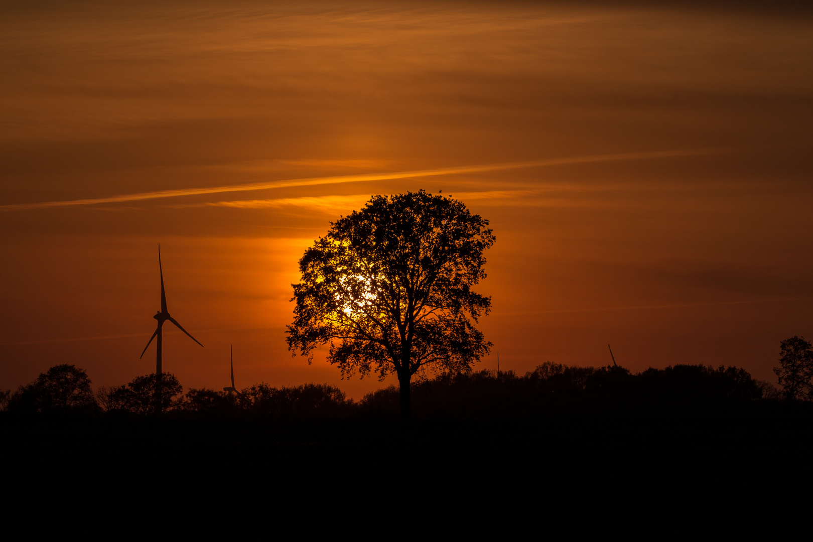 Goldene Sonne hinter dem Baum