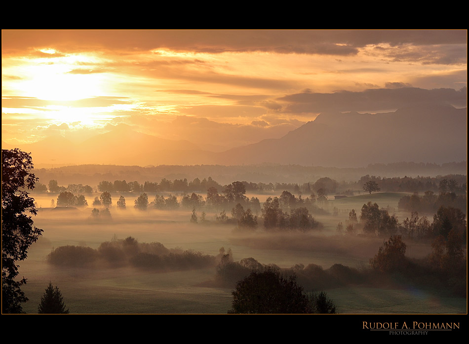 ~~ Goldene Sonnenstrahlen ~~