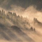 Goldene Sonnenstrahlen durchschneiden den Nebel